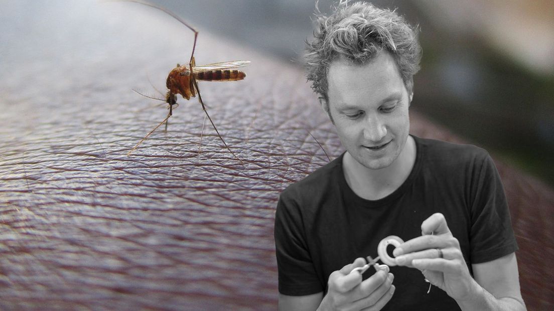 Felix Hol onderzoekt muggen.