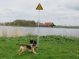 Raadselachtig waarschuwingsbord bij hondenstrandje: 'Onduidelijk en vaag'