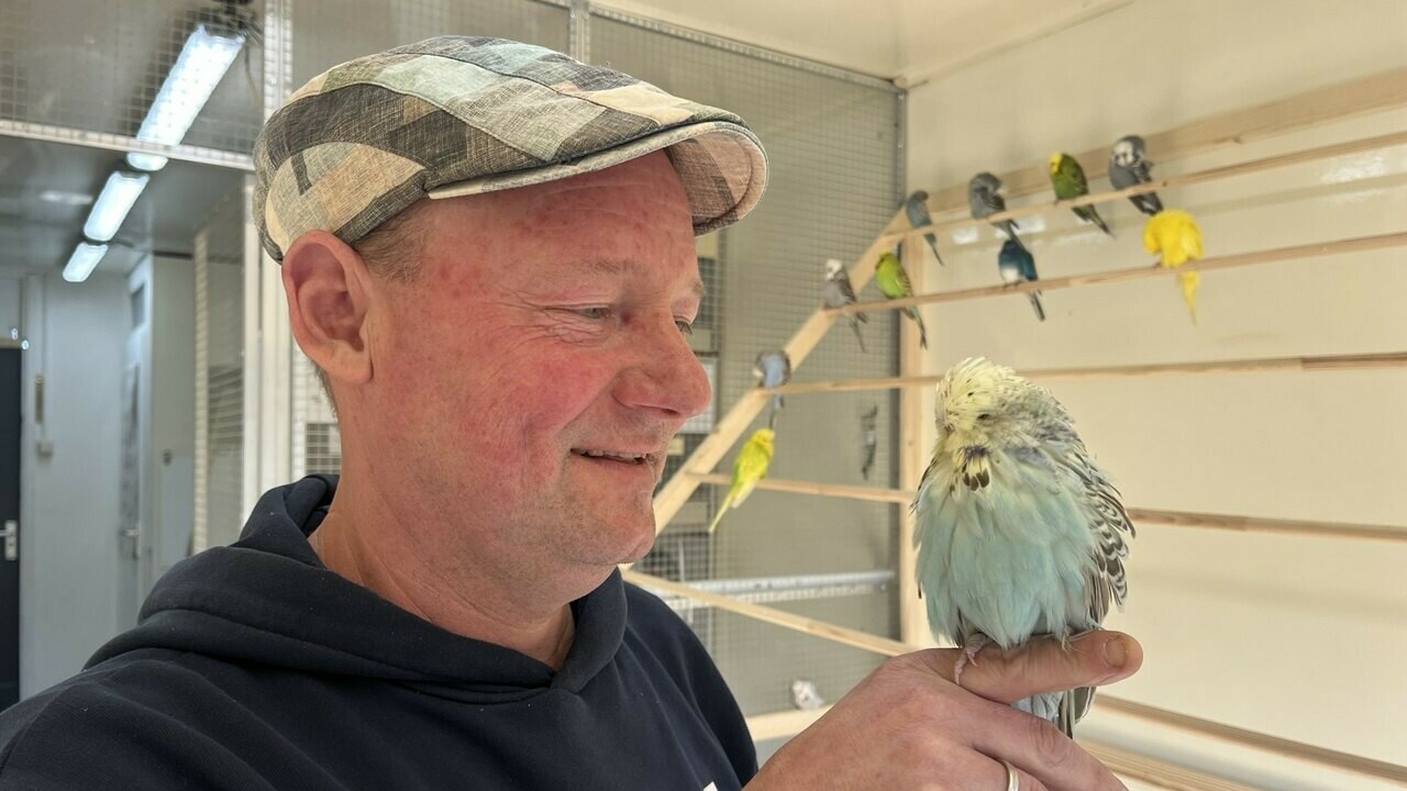 Parkietenman Gert Dekker uit de Wijk zoekt gelijkgestemden: 'Het is gewoon mooi om elkaars hobby te delen'