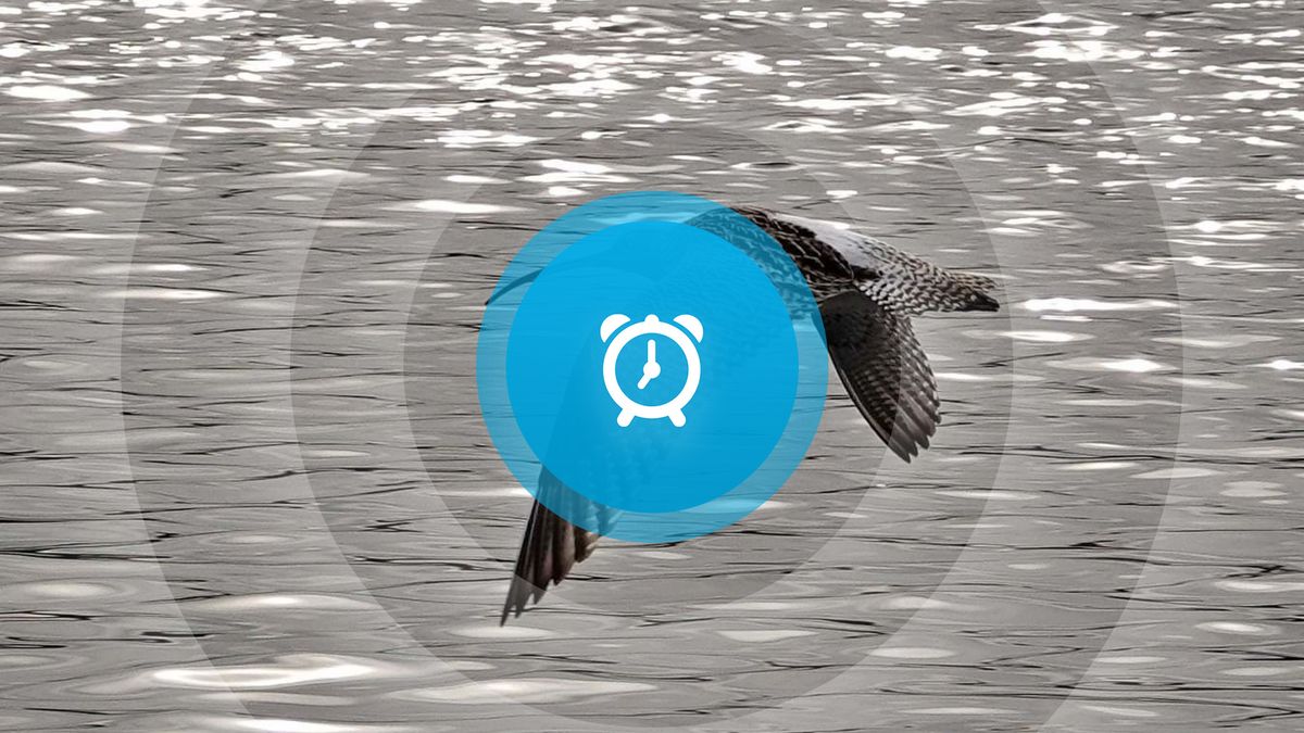 Goedemorgen! Ontevreden loodsen, film in Watersnoodmuseum en culturele avond