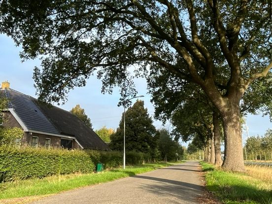 Gemeente Coevorden wil gemeentewerf verplaatsen naar Wachtum
