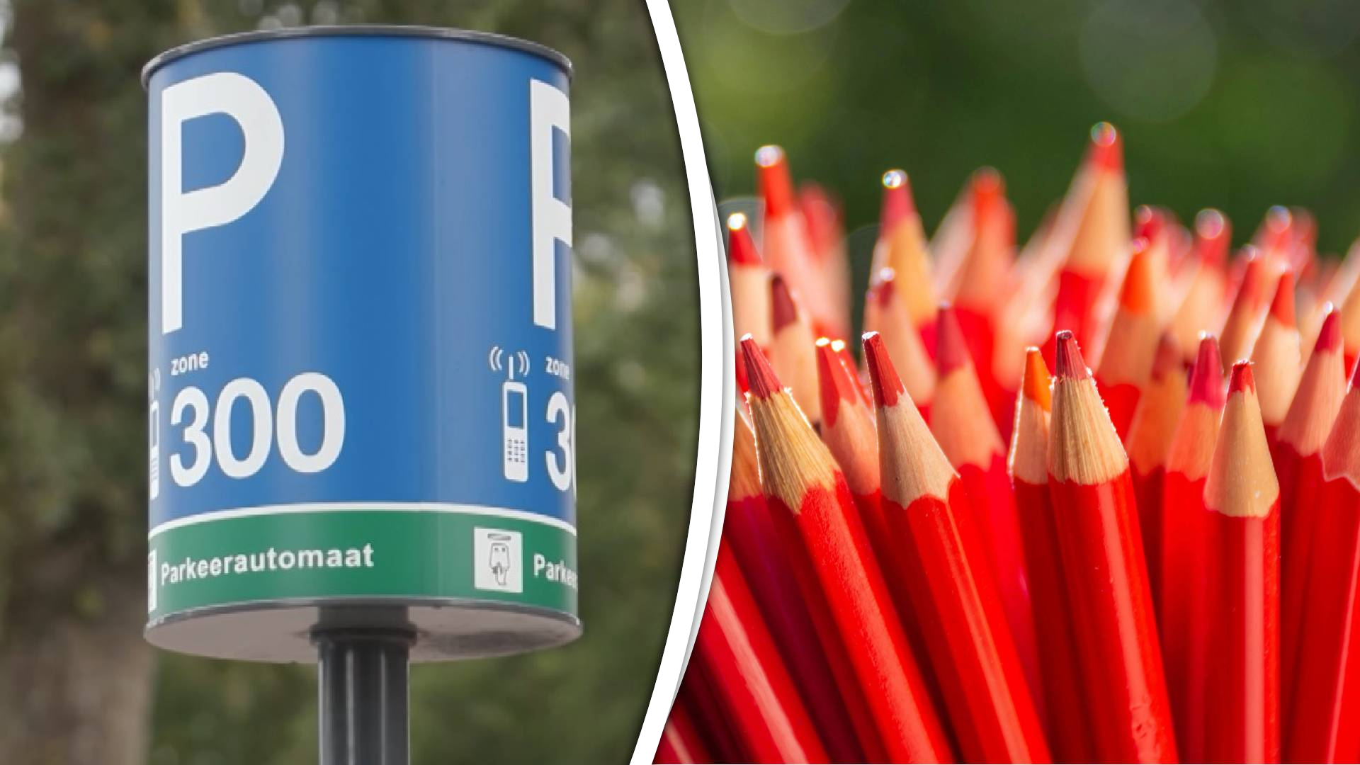 Leefbaar Rotterdam wil een referendum over het betaald parkeren in de stad.