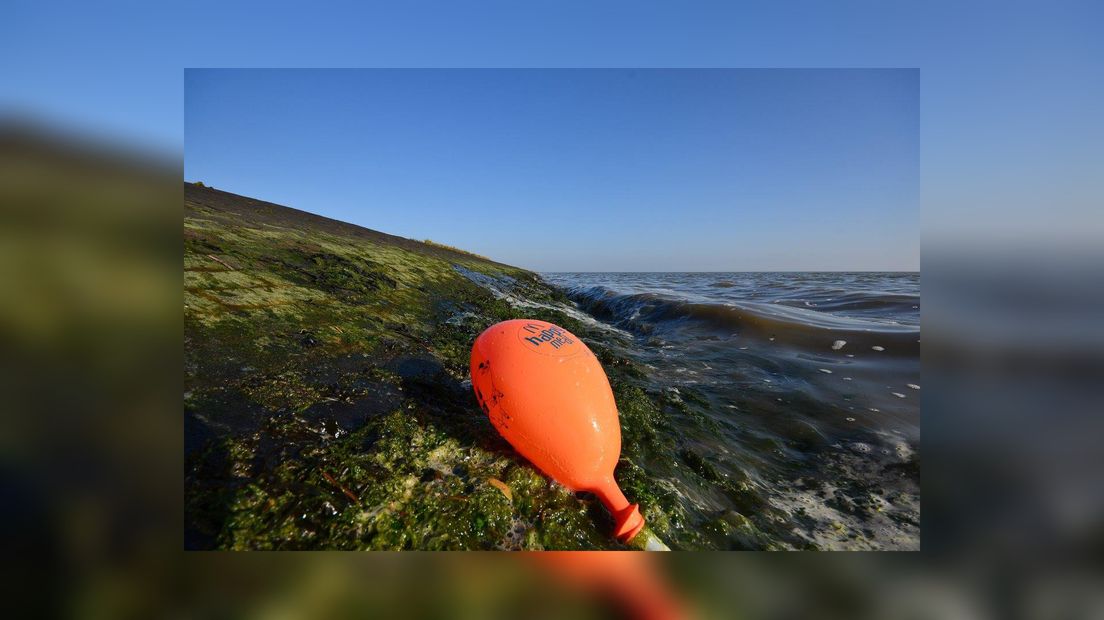 Ballon (yn dit gefal op Flylân)