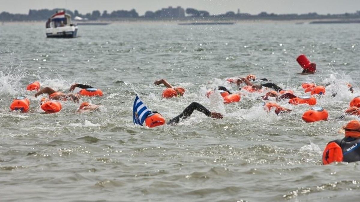 Een urenlange zwemtocht van Vlissingen naar Breskens: hoe zit dat dan met passerende schepen?