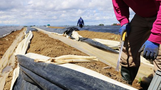 Inhouden huur op loon arbeidsmigrant mag medio 2028 niet meer Nieuws