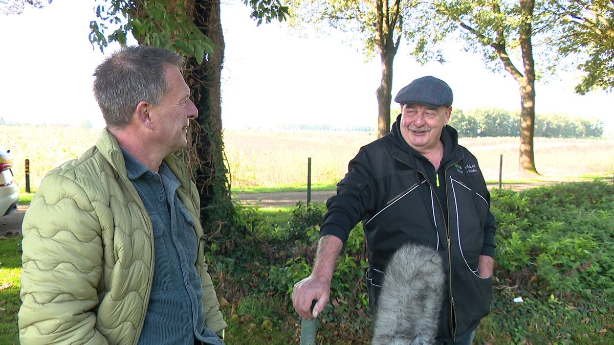 Óngerwaeg heeft een trouwe vriend in Herten