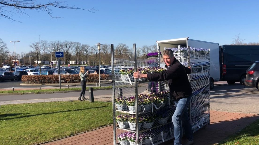 Orders voor duizenden planten die normaal gesproken naar in het buitenland gaan, worden door het corona-virus gecanceld. Daardoor moeten Gelderse kwekers hun bloemen en planten noodgedwongen vernietigen. In Twello hebben ze daar iets op bedacht: een co2'tje.