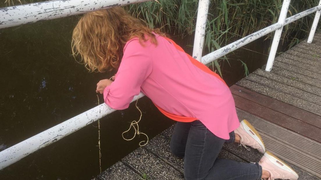 Peilen van het zicht in water