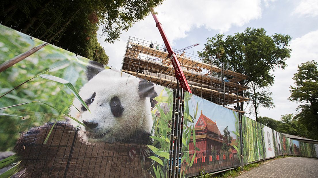 Een groep Chinezen is hard bezig met de bouw van het verblijf.