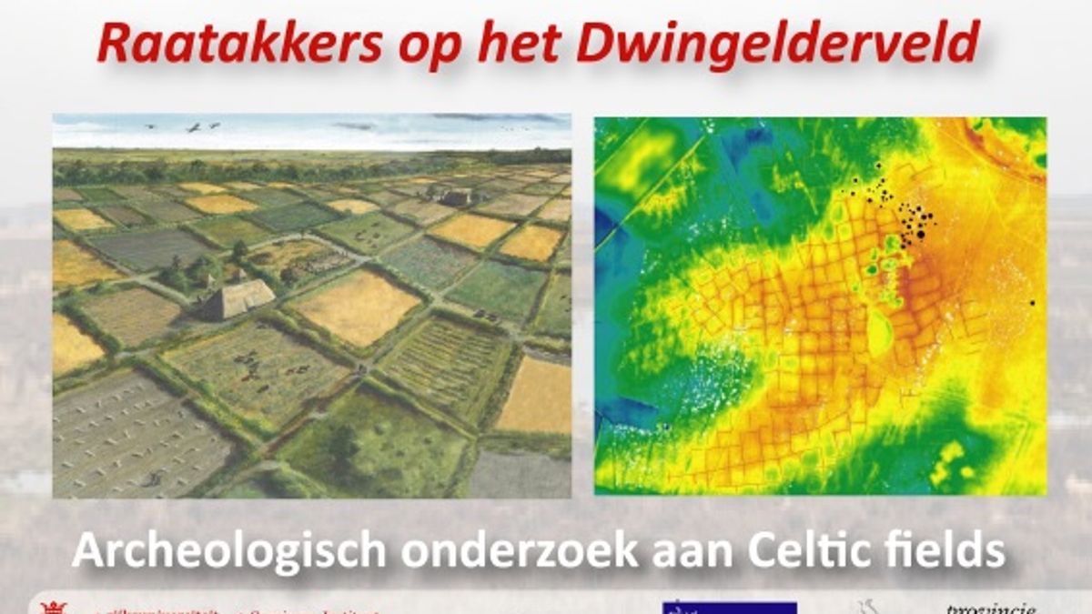 Archeologen onderzoeken prehistorische akkers Dwingelderveld
