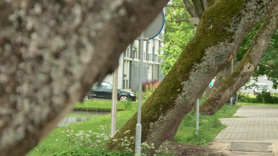 Nieuws uit Gouda en omgeving - Omroep West