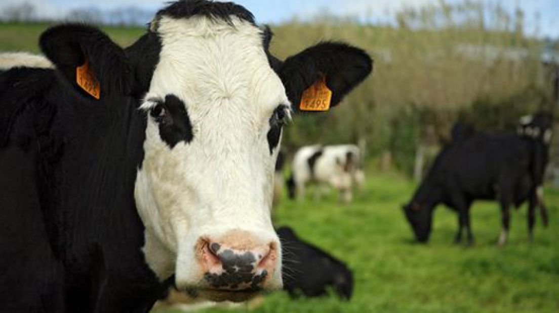 Weiland Ede vliegveld voor één dag