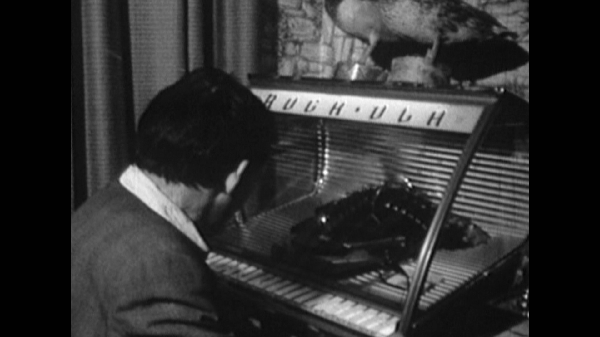 Trugkieke - Vogelwaarde - 21-11-2025