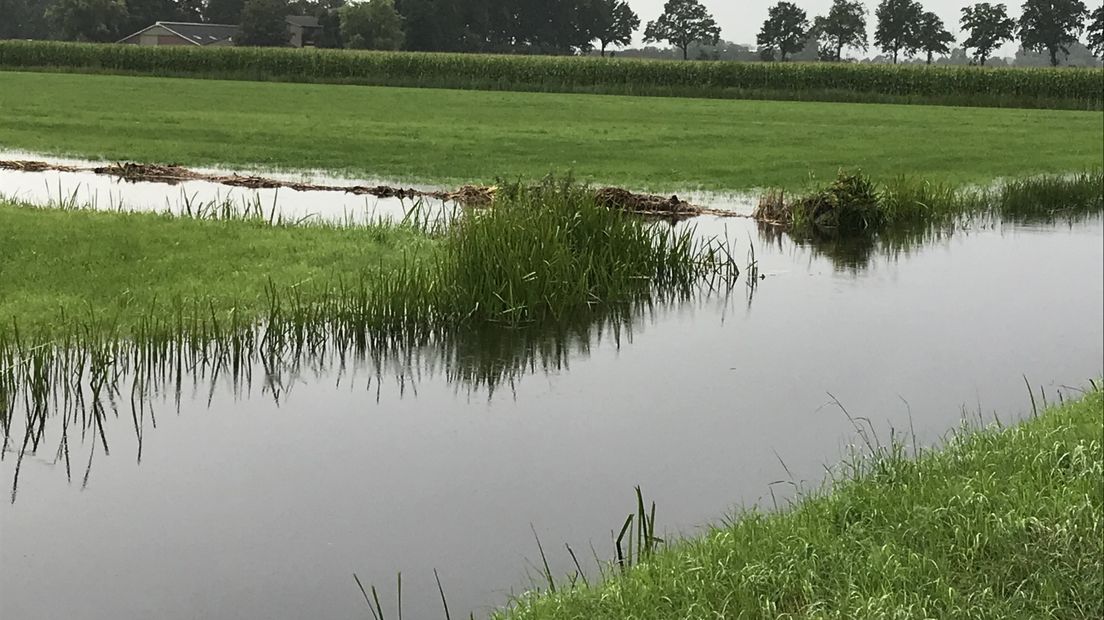 Waterschap Drents Overijsselse Delta sloten kanalen water droogte