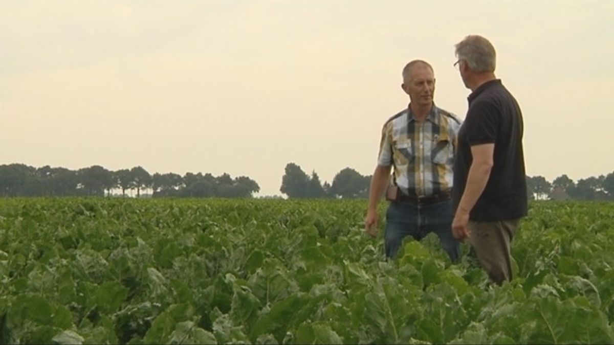 Klei moet verstuivingen van vruchtbare grond voorkomen