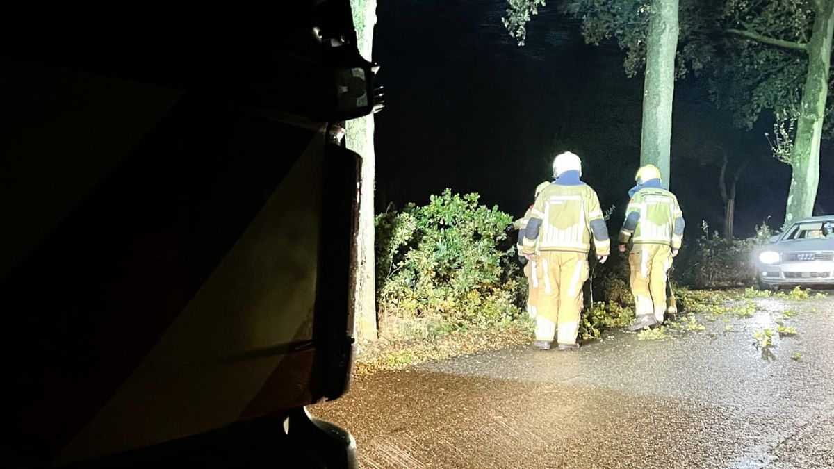 Tiental meldingen over stormschade in Overijssel