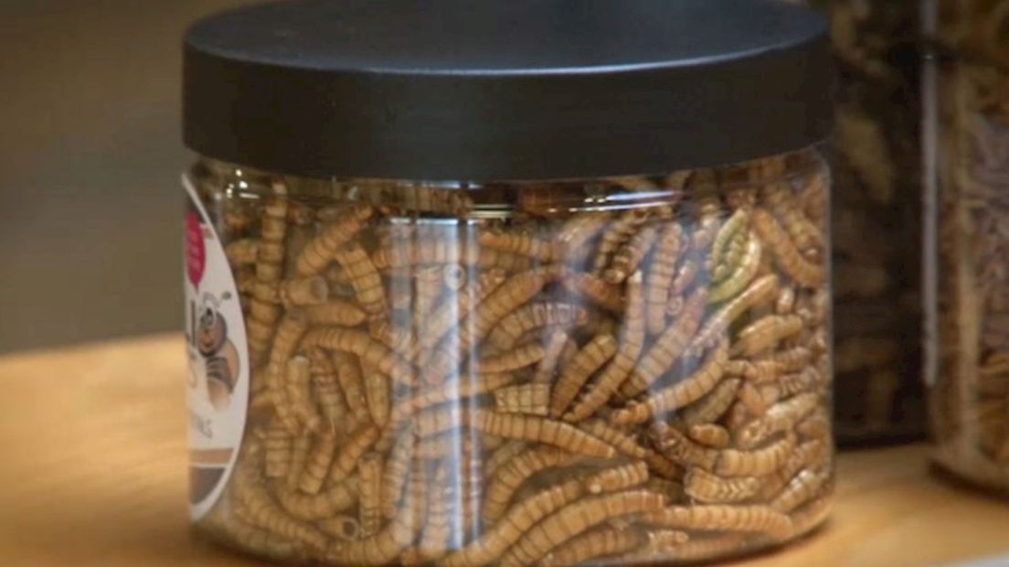 meelwormen voor consumptie
