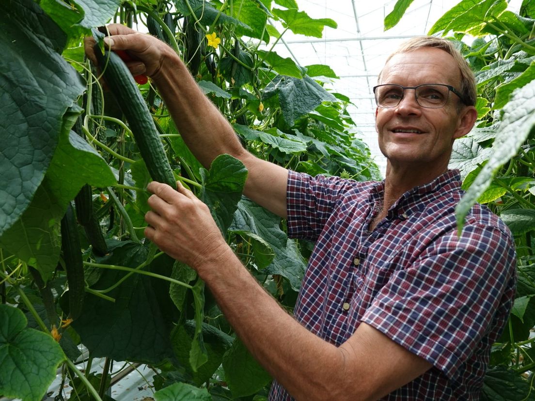 Komkommerkweker Wim van den Berg in Bergschenhoek