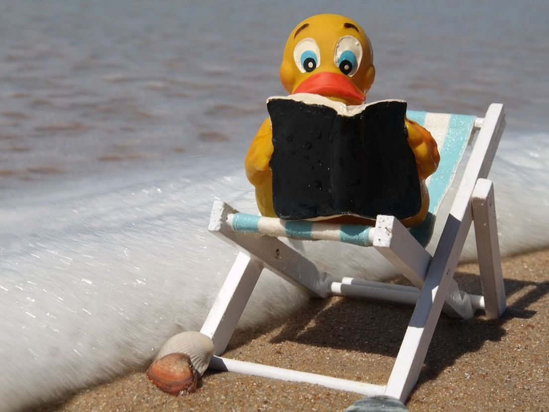 Wat lees je op het strand?
