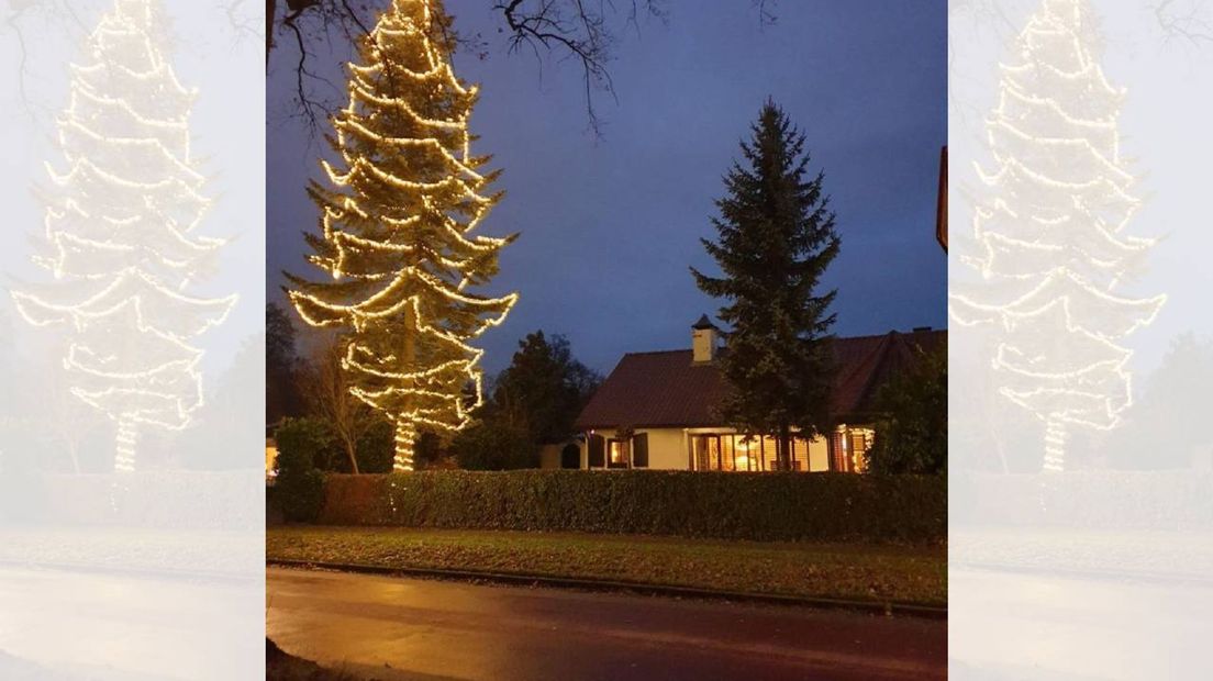 De boom is bijna twintig meter hoog en telt ruim 10.000 lampjes