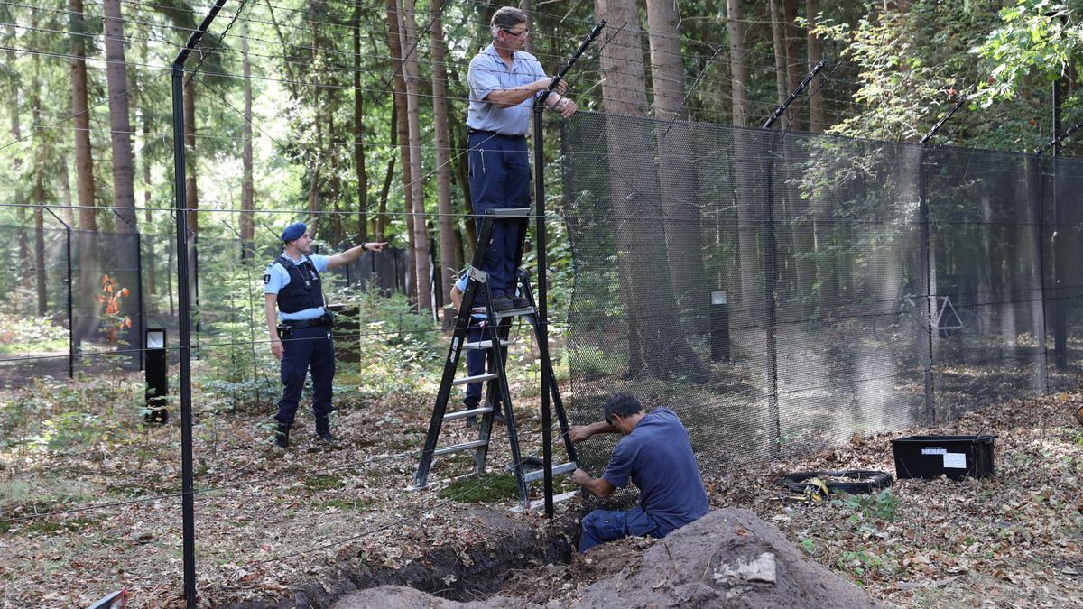 Hek bij huis Beatrix in Lage Vuursche vervangen