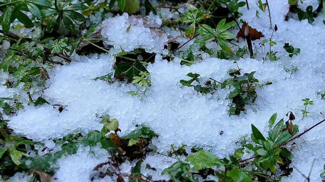 Ook hagel valt onder extreem weer waar boeren zich tegen kunnen verzekeren.