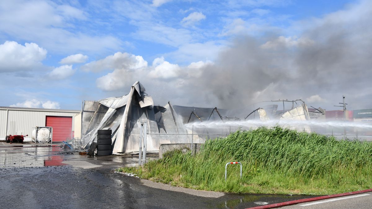 Uitslaande brand bij transportbedrijf: 'Loods niet meer te redden'