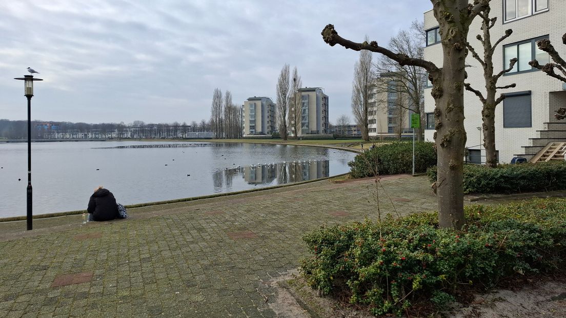 Hoogbouw langs de vijver bij winkelcentrum Emiclaer.