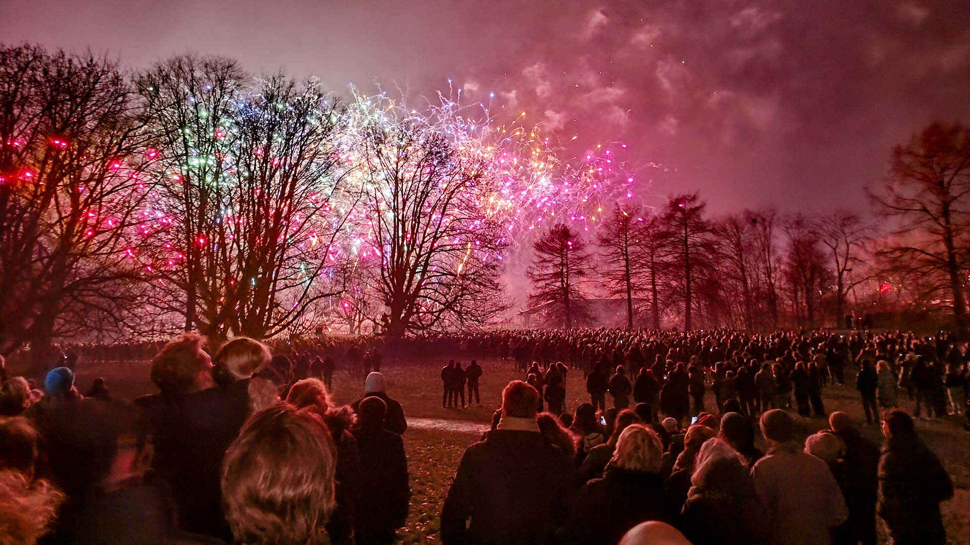 De vuurwerkshow in de gemeente Zwolle afgelopen oud en nieuw.