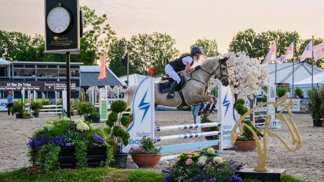Springruiter op Concours Delft