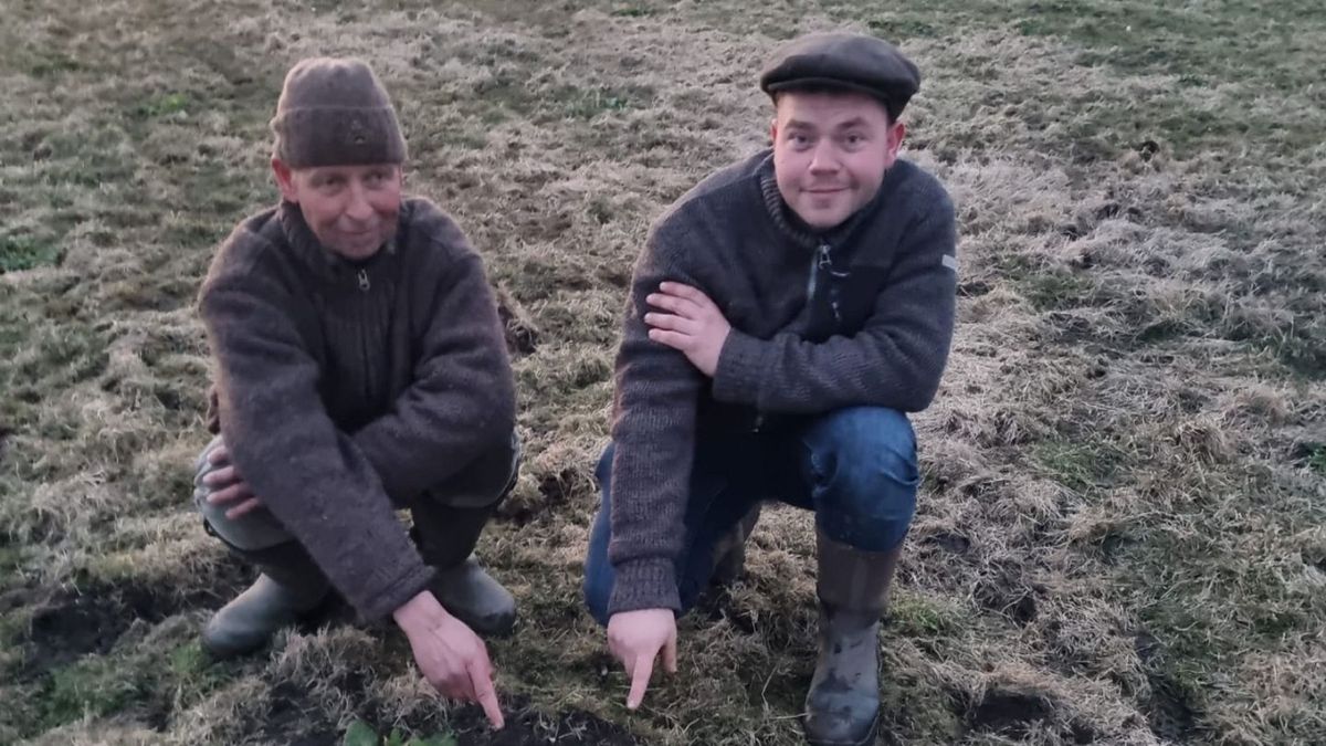 Eerste kievietseieren gevonden in Heerenveen, Leeuwarden, Opsterland en Smallingerland