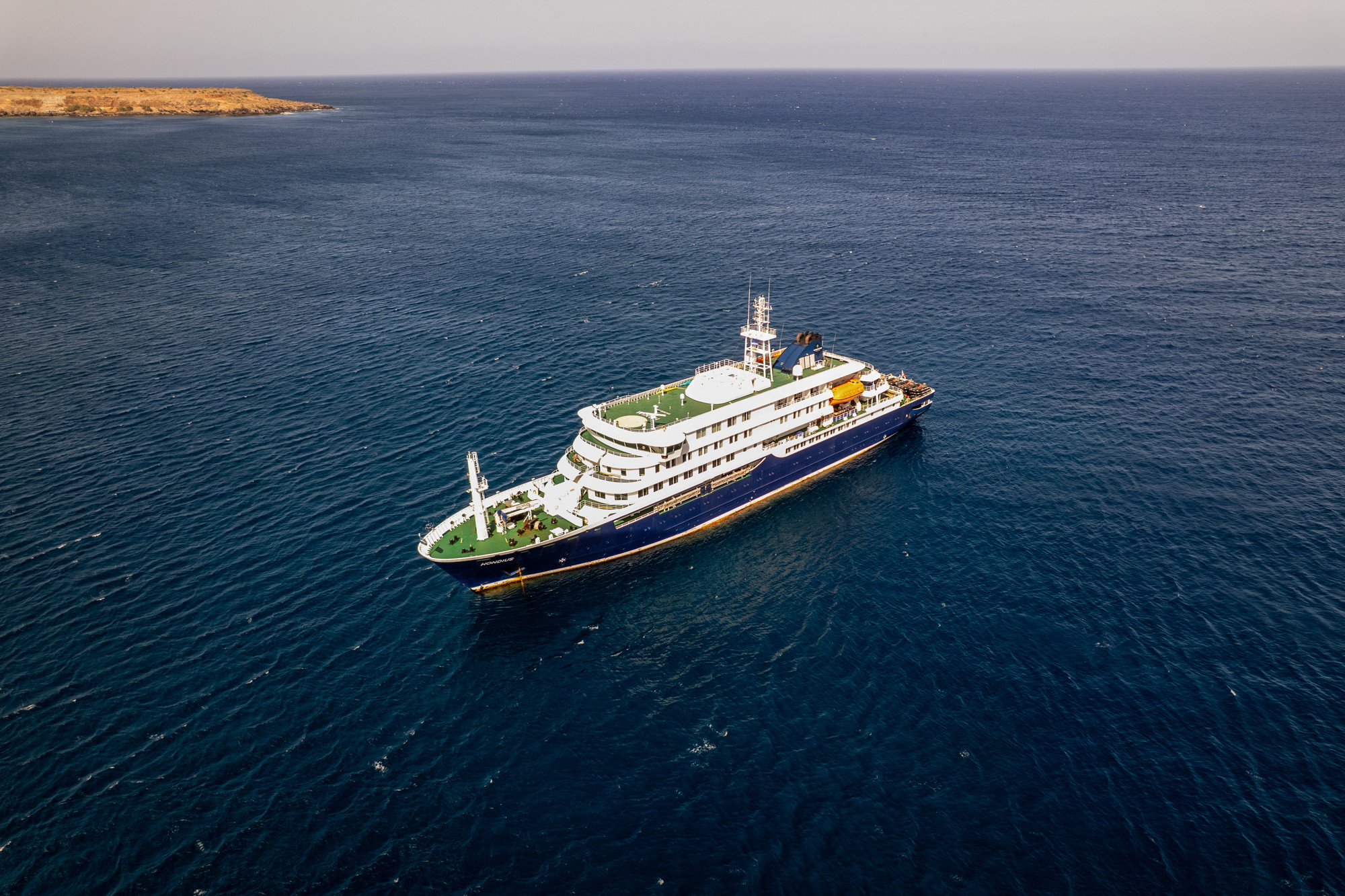 Hantavirus op cruiseschip van Vlissingse rederij, drie doden: dit is wat we weten over het virus