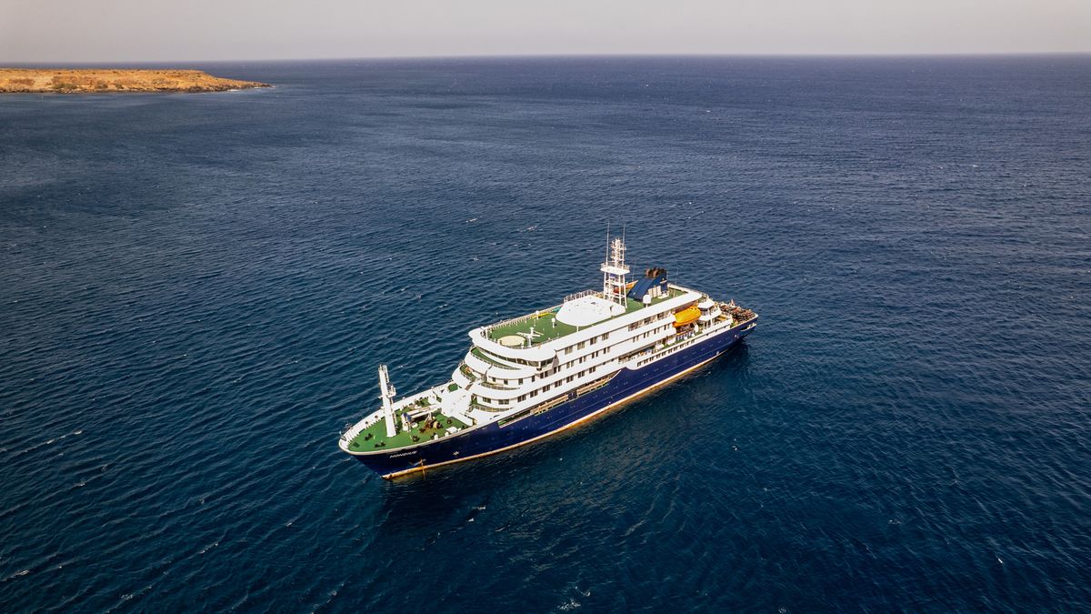 Hantavirus op cruiseschip van Vlissingse rederij, drie doden: dit is wat we weten over het virus