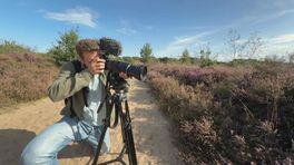 Marks Minuutje met een grote veldhommel in Nationaal Park Drentsche Aa