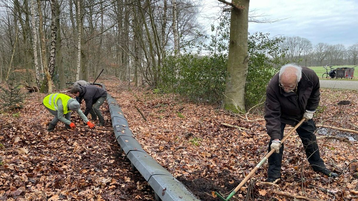 Padden gaan weer op pad: tunnels worden schoongemaakt