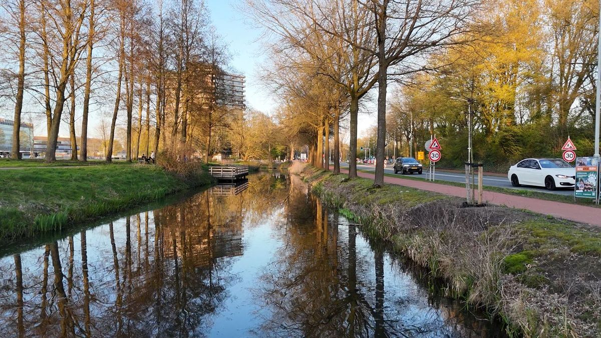 'Fietspad in de sloot' bedreigt paddenpopulatie