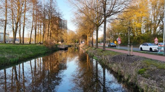 'Fietspad in de sloot' bedreigt paddenpopulatie