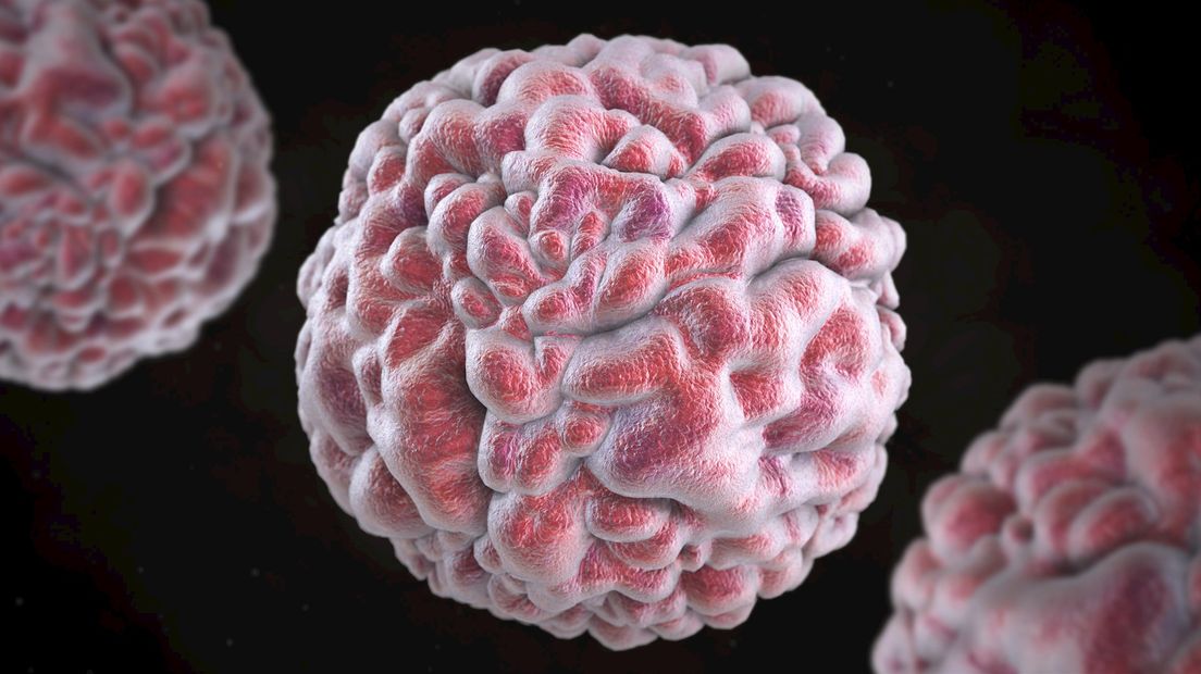 Zeer besmettelijk Norovirus aangetroffen in twee Oldenzaalse verzorgingshuizen