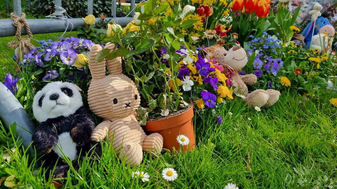 Op de gedenkplek voor Nino liggen veel bloemen en knuffels