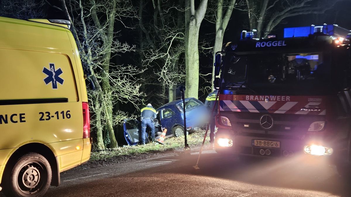 Automobilist raakt van de weg in Roggel