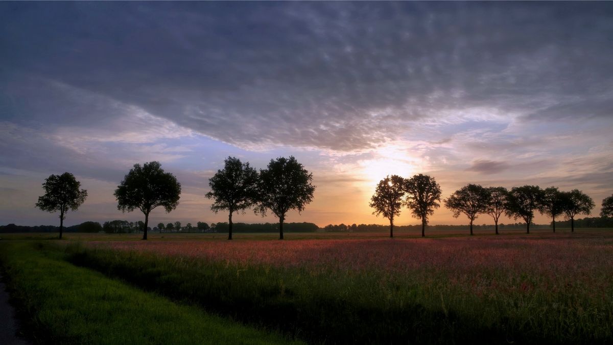 Dit wordt het weer tijdens Pinksteren