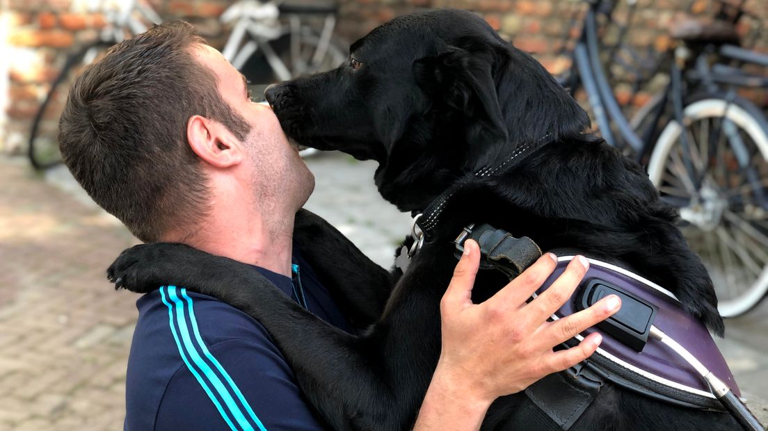Blindengeleidehond Dinja helpt Kevin veilig door het Middelburgse verkeer.