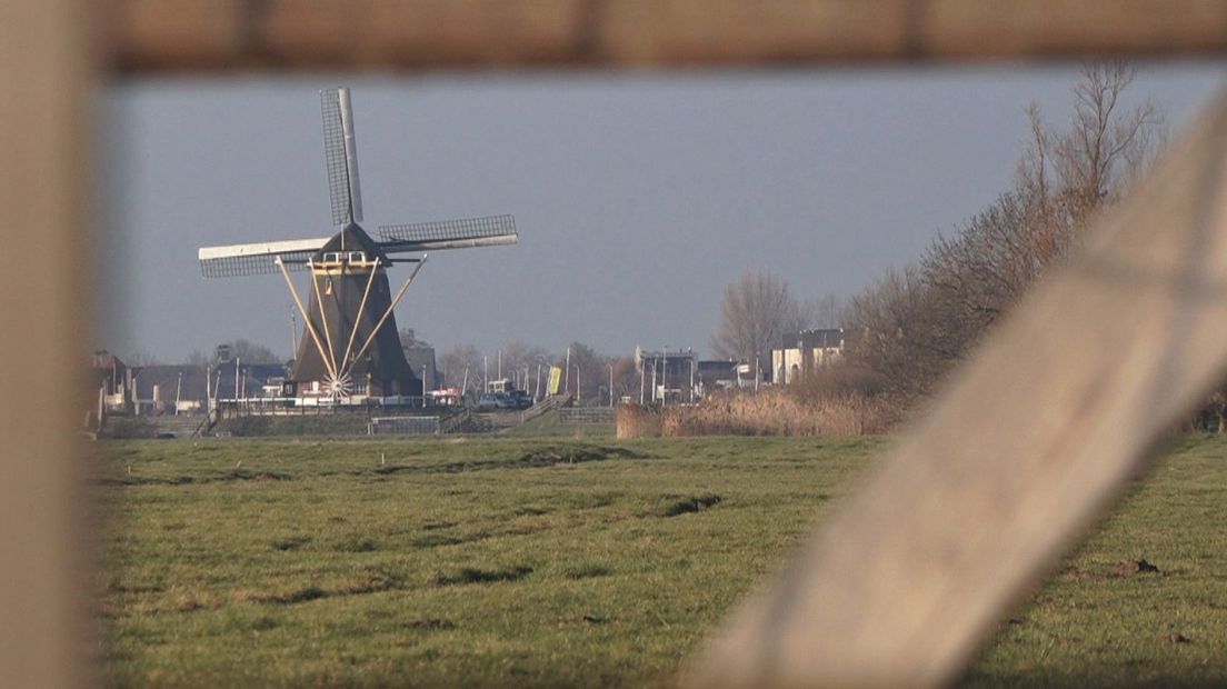 Uitzicht op een molen in de Gnephoekpolder in Alphen aan den Rijn