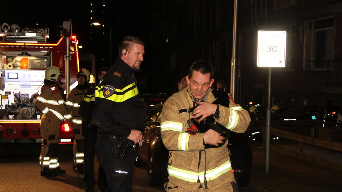 De brandweer in Ede liet zich zaterdagnacht van haar heldhaftigste kant zien. Bij een brand in een flatgebouw aan de Floreslaan werden enkele katten gered. Een katje werd gereanimeerd door een brandweerman.