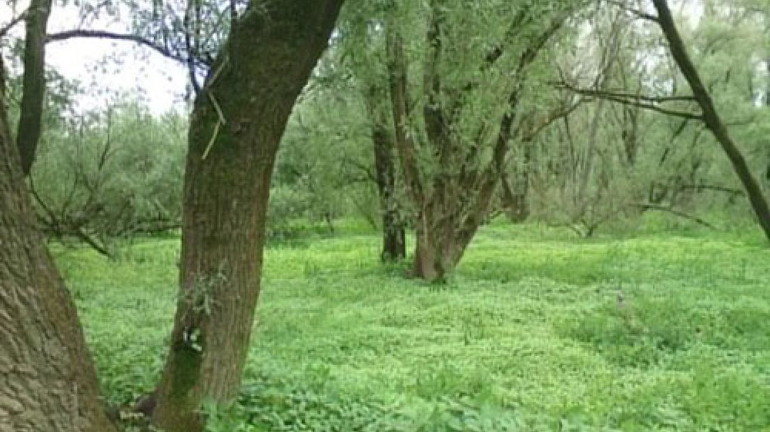 Gelderse Poort wildste natuurgebied