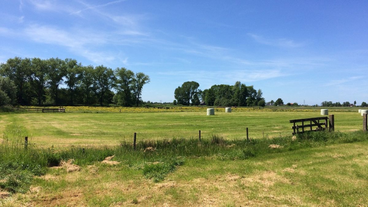 Miljoenen voor omtoveren polders tot waterbergingsgebied