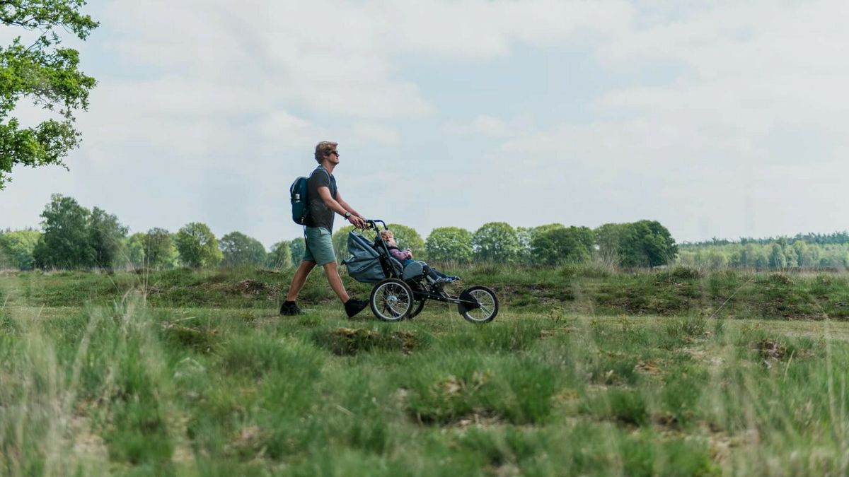 ‘Ook in Drenthe moet Pieterpad toegankelijk worden voor rolstoelgebruikers’