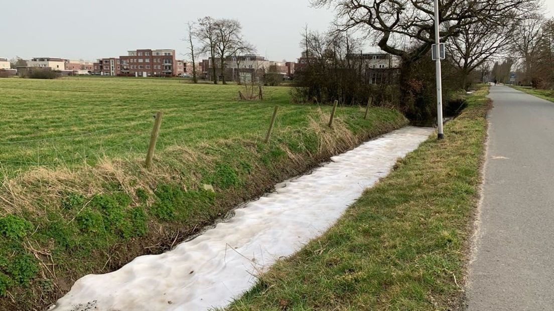 Sneeuw aan de Rijnsteeg in Wageningen (22-2-2021).