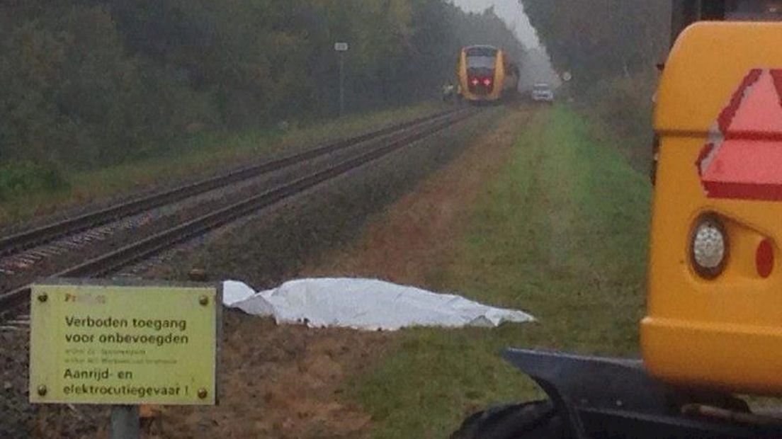 Treinen rijden weer na aanrijding met koeien