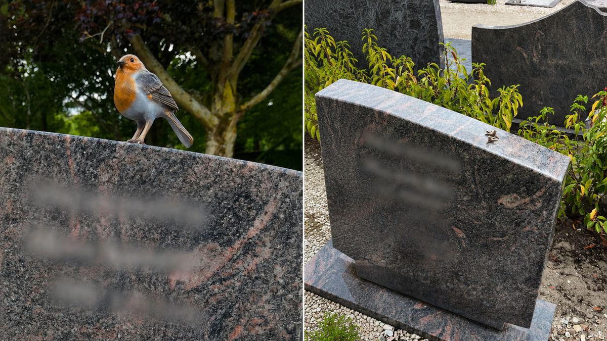 Bronzen roodborstje bij pootjes op graf afgesneden: 'Ik ben razend en verdrietig'